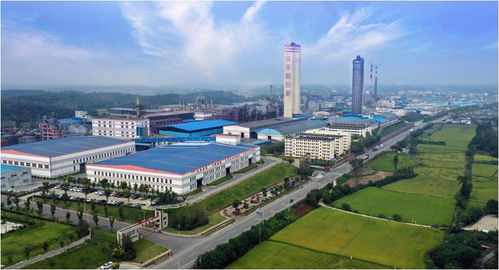 向新而生，實(shí)現(xiàn)高質(zhì)量創(chuàng)新發(fā)展——新洋豐推進(jìn)新質(zhì)生產(chǎn)力發(fā)展的生動(dòng)實(shí)踐與松原軟件開發(fā)的協(xié)同路徑